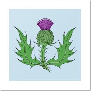 Thistle Posters and Art